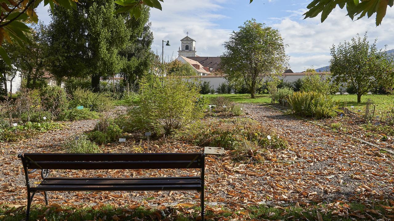 Klosterhotel Kreuz Mariastein Zewnętrze zdjęcie