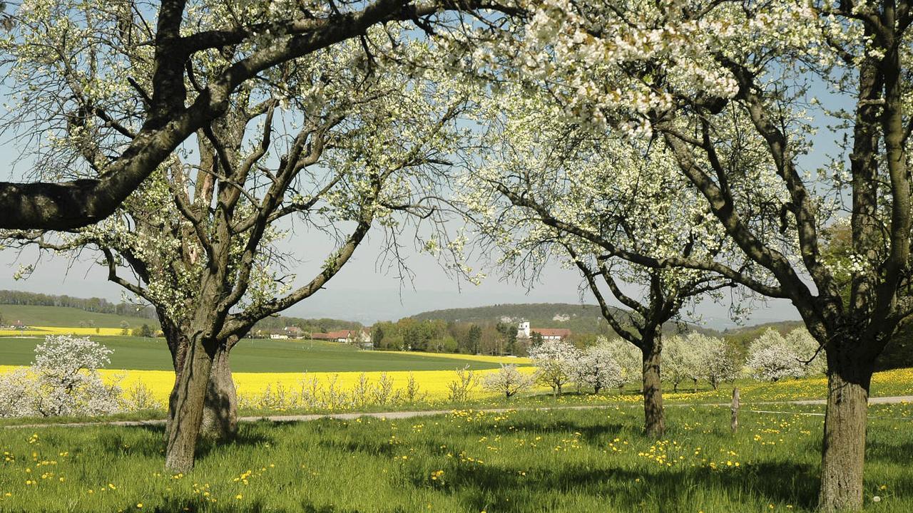 Klosterhotel Kreuz Mariastein Zewnętrze zdjęcie